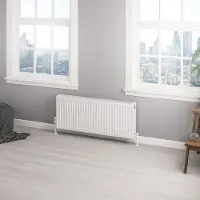 Eastbrook Type 22 paneelradiator 100x40cm 1479W wit glans