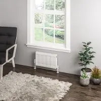 Eastbrook Type 11 paneelradiator 50x30cm 307W wit glans