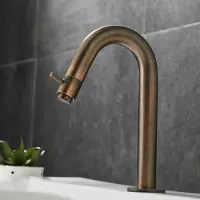 Saniclear Antique gebogen fonteinkraan verouderd messing