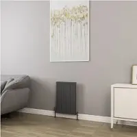 Eastbrook Kingswood paneelradiator 40x60cm 426W antraciet mat