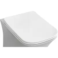 Eastbrook Beddington softclose toiletzitting wit glans