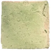 Terre d'Azur Tierra vloertegel 10x10cm groen - per 50 stuks