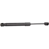 RIDEX 219G0454 Gasveer achterklep