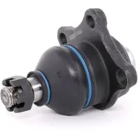 RIDEX 2462S0095 Fuseekogel