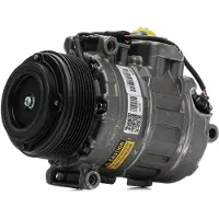 RIDEX 447K0216R Aircopomp