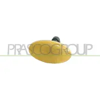 PRASCO FT1134039 Knipperlichtautomaat / Pinkdoos