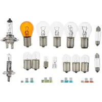 Hella 8GH 007 157-941 Assortiment, gloeilampen