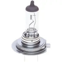 Bosch 1 987 301 416 Gloeilamp, verstraler