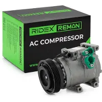 RIDEX 447K1124R Aircopomp