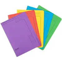 Exacompta 25x FOREVER bedrukte L-mappen 290g/m2 22x31cm voor A4 - Geassorteerd - 48100E