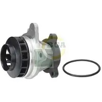 BGA CP7313 Waterpomp
