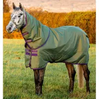 Horseware Amigo Hero Ripstop Plus Turnout 200g Medium 115 Bramble/Winterberry