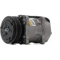 RIDEX 447K1103R Aircopomp