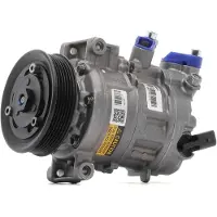 RIDEX 447K0641R Aircopomp