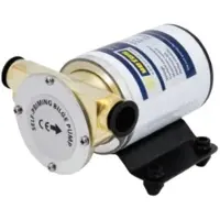 VETUS Electric Pump Wit 12V