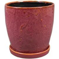 Ter Steege Bloempot-Pot met Schotel Rood-Paars D 17 cm H 16 cm