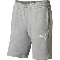 Puma Sportbroek 'teamGOAL' | XL | male