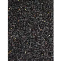 Bird-X Vogelvoer - Koolzaad Zak 0,9 kg