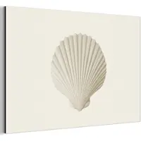 MuchoWow Aluminium schilderij 30x20 cm - Wanddecoratie metaal - Schelp - Minimalistisch - Wit - Metalen muurdecoratie woonkamer - Decoratie industrieel - Foto op dibond - Industriële accessoires slaapkamer
