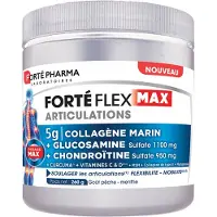 Forte pharma Forté Flex Max Gewrichten 260 g