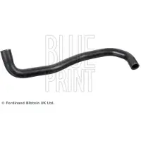 Blue Print ADBP930007 Radiateurslang