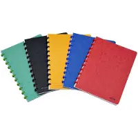 Atoma Schrift a4 ruit 5mm 144blz 90gr karton ass | 10 stuks
