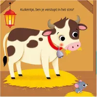 Deltas Waar is het kuikentje?