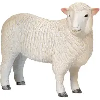 MOJO farmland romney schaap ooi - 381064