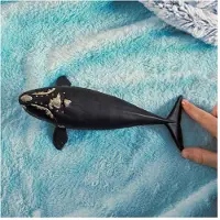 Schleich WILD LIFE - Noordkaper - 14878