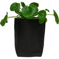 QUVIO Plantenzak - Kraftpapier - 10 x 10 x 20 cm - Zwart