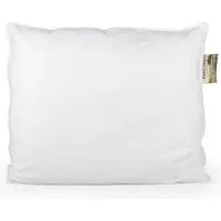 Eastland Eastlands Hoofdkussen Glane - 60x70cm