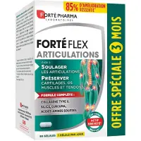 Forte pharma Forte Flex Articulations 90 Capsules