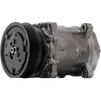 RIDEX 447K0219R Aircopomp