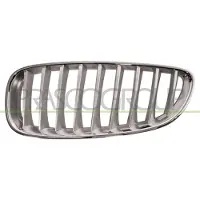 BLIC Radiatorrooster 6502-07-0089997P links