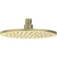 Ivy Aia Toebehoren Hoofddouche medium 30cm met antikalk nozzels RVS316 geborsteld mat goud PVD