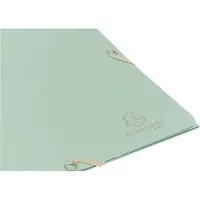 Exacompta 25x Elastomappen met 3 flappen gerecycled karton 400g/m2 AutentiK - Saliegroen - 55233E