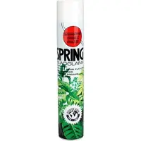 Dutch flower lady Spring Bladglans voor kamer en kantoor planten 750ml