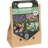 Florex Pick Up Tas Bloembollen Verwildering 40 Stuks