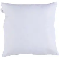 Alpina Pillow 60x60CM (BE/FR)