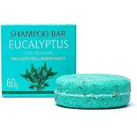 Phoenix Natuurlijke shampoo bar eucalyptus -