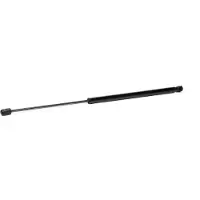 RIDEX 219G0746 Gasveer achterklep