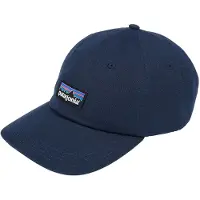 Patagonia 5-panel pet P-6 Label Trad