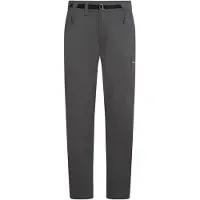 Icebreaker - Merino Elevation Stretch Pants - Trekkingbroek 34, grijs