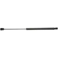 RIDEX 219G0784 Gasveer achterklep
