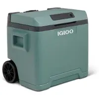 Igloo Elektrische koeler - - 12 V - 230 V - Kleur groen - 42 L