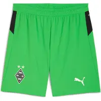 Puma Sportbroek 'Borussia Mönchengladbach 25/26' groen / zwart / wit