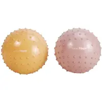Find That Hippo Sensory Balls Roze Kinderen
