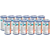 Bestway A-filterpatroon type III 12stuks Zwembadfilter
