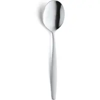 Amefa Tafellepels 12st In C&C Box Zilver zilver RVS Lepel