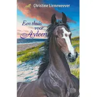 Kluitman Alkmaar, Uitgeverij Een thuis voor Ayleen Boek